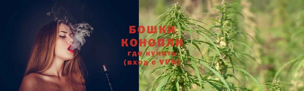 метадон Няндома