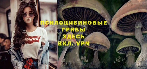 MESCALINE Нягань