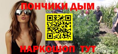 сатива Заволжье