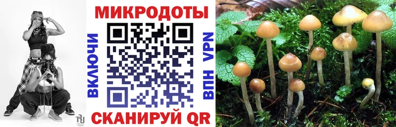 Псилоцибиновые грибы Magic Shrooms  Армавир 