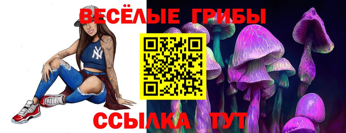 Армавир  Псилоцибиновые грибы мицелий  Вход с VPN 