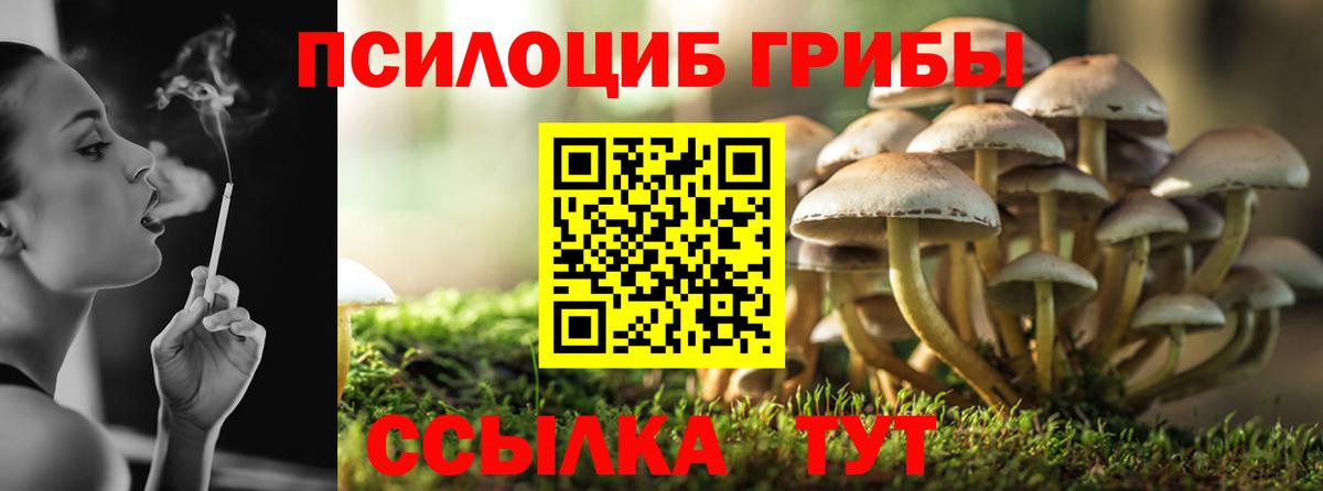 A PVP СОЛЬ кристаллы  COCAIN  Сколько стоит  Мефедрон   ГАШИШ  МЕТ  Армавир  Конопля  Гашиш  Вход с VPN 